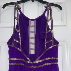 Beautiful purple and gold gown